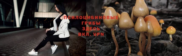дмт Алексин