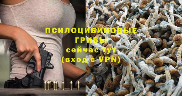 дмт Алексин