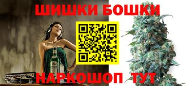 прущие крисы Кингисепп