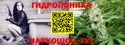 прущие крисы Кингисепп
