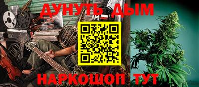 прущие крисы Кингисепп