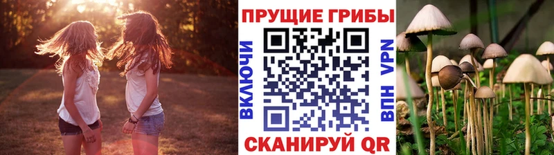 Галлюциногенные грибы ЛСД  omg как войти  Кольчугино  где купить наркоту 