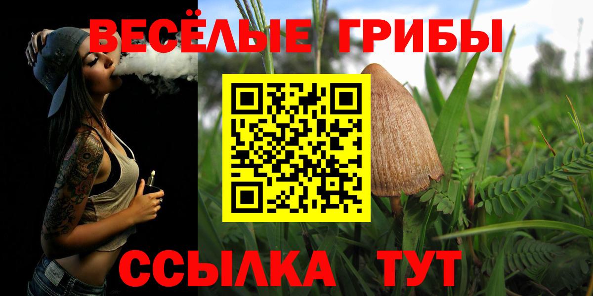 Кольчугино  Галлюциногенные грибы мицелий  Вход с VPN 