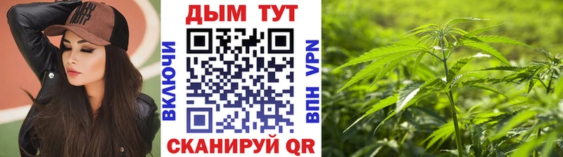 Каннабис SATIVA & INDICA  кракен ONION  Кольчугино 